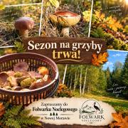 Top Stronie Śląskie Top Stronie Śląskie
