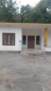 Top Pinangode