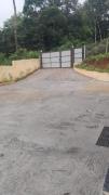 Top Pinangode
