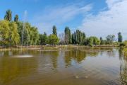 Top Oradea Top Oradea