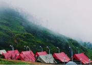 Top Suryanelli