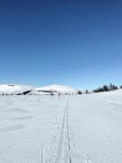 Top Tänndalen