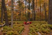 Top Pocono Pines