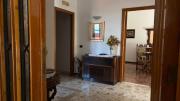 Top Avella