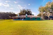 Top Micanopy