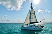 Top Shimoni