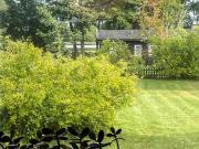 Top Rockneby
