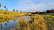 Top Karoola