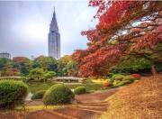 Top Tokyo