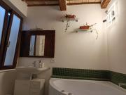 Top Todi