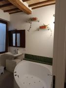 Top Todi