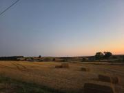 Top Tarquinia