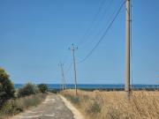 Top Tarquinia
