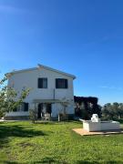 Top Tarquinia