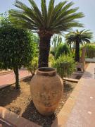 Top Casteldaccia