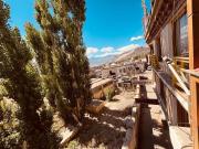 Top Leh
