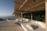 Top Higuera Blanca