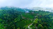 Top Vagamon