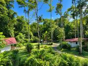 Top Cahuita