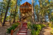 Top Big Bear City