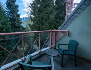 Top Whistler