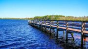 Top Kissimmee