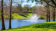 Top Kissimmee