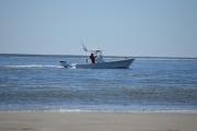 Top Oak Island