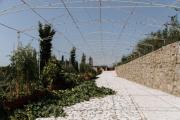 Top Podgorica