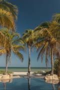 Top Chicxulub