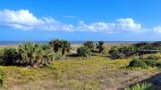 Top Tybee Island