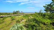 Top Tybee Island