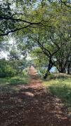Top Igatpuri