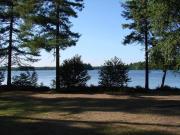 Top Gullaskruv