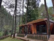 Top Palayangan