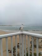 Top Kleinmond