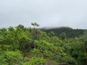Rancho Don Sina