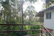 Top Chikmagalur Top Chikmagalur