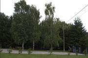 Top Mielno k.Olsztynka
