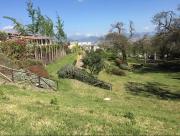 Top Terzigno Top Terzigno