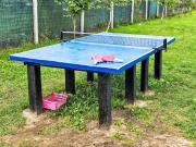 Top Dobra