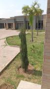 Top Lusaka