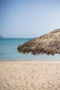 Top Alcudia