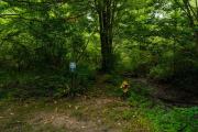 Top Silver Creek