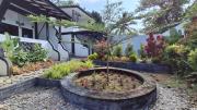 Top Bukit Lawang
