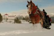 Top Bretton Woods