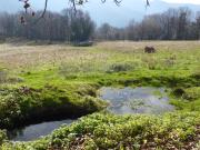 Top Labastide-Rouairoux