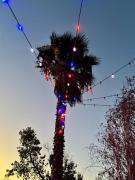 Top Santa Clarita
