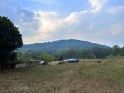 Top Yelagiri