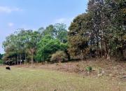 Top Yelagiri